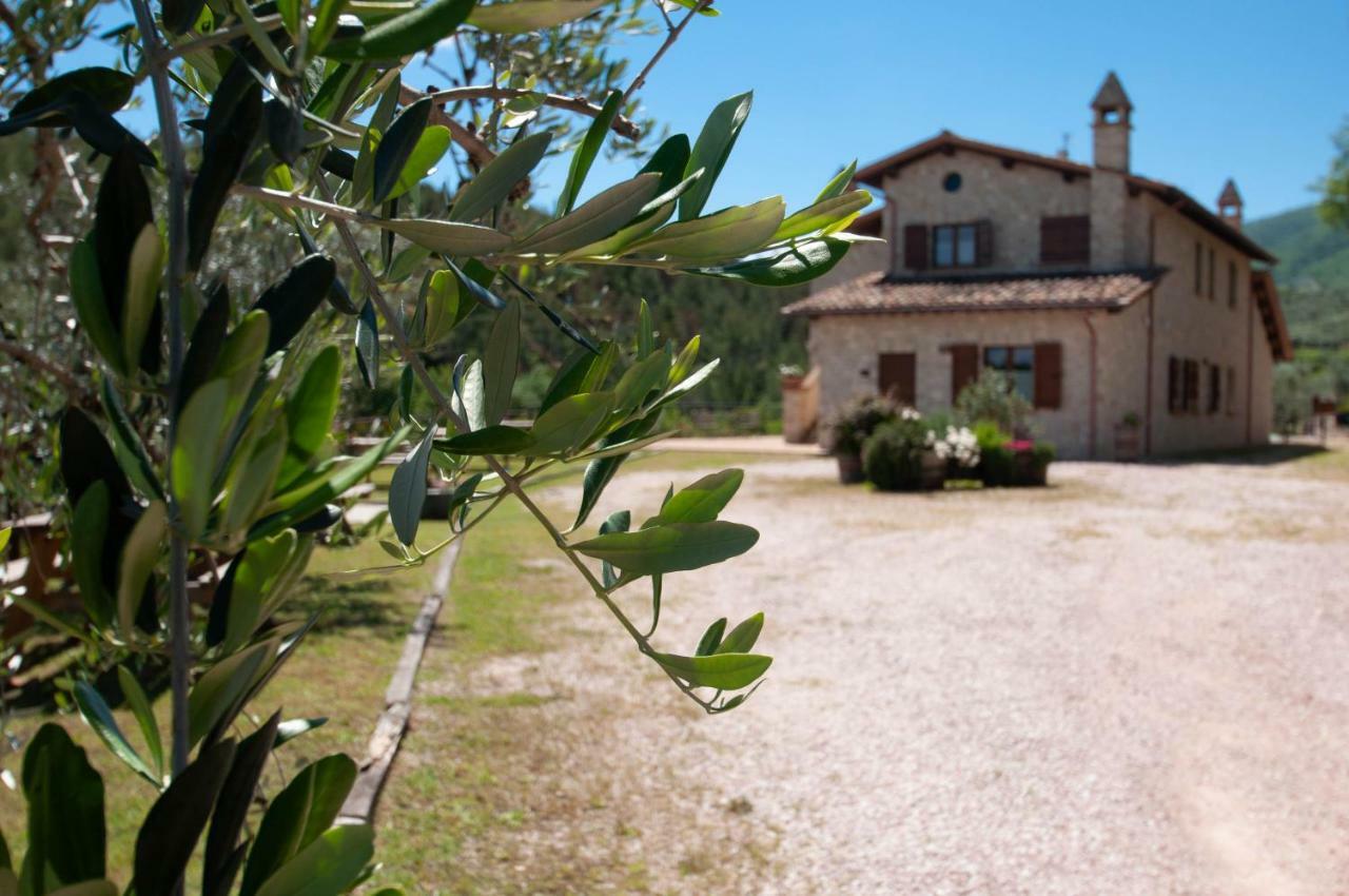 Agriturismo Molino Verde Montecchio  Exterior photo